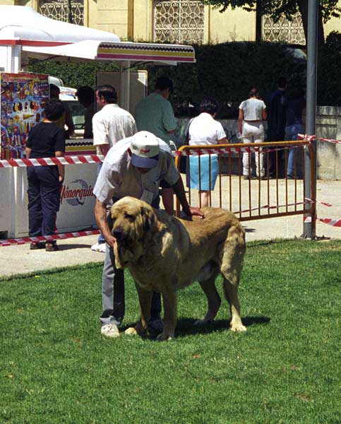 Especial Razas Españolas, El Escorial, Madrid, 19.07.1998 
Keywords: 1998 valle