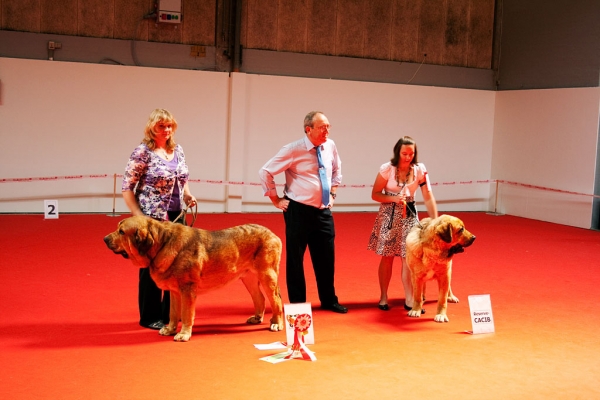 World Dog Show, Herning, Denmark - 27.06.2010
