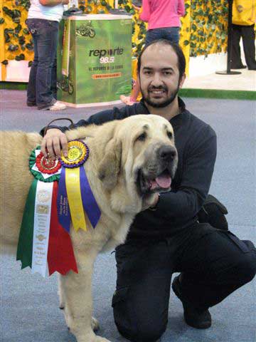 Pando de Fuente Mimbre: Exc. 1, Best Male, BOB & World Winner - World Dog Show Mexico 2007
Keywords: fuentemimbre
