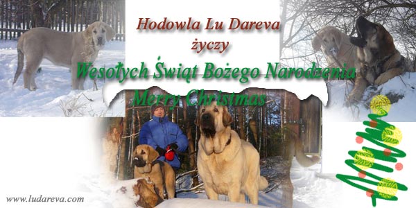 Merry Chrismas and Happy New Year 2010 from Lu Dareva
Keywords: ludareva