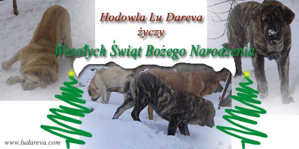 Merry Christmas 2006 from Lu Dareva
Keywords: ludareva