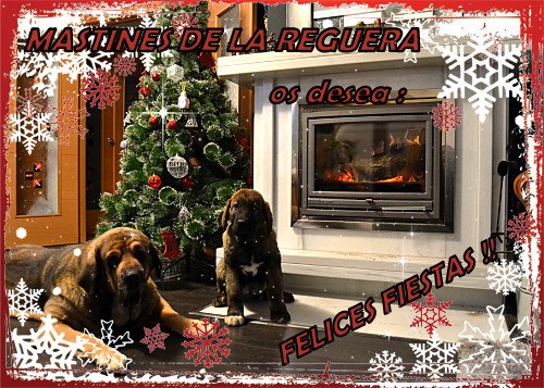 Merry Christmas and Happy New Year 2013 from 'La Reguera', Spain
Keywords: reguera