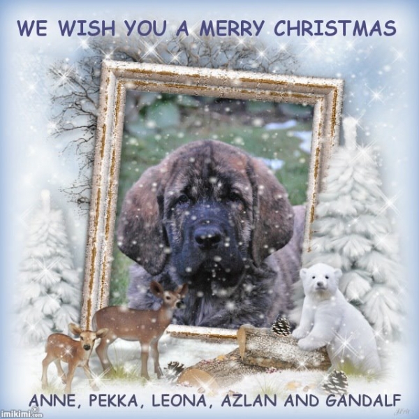 Merry Christmas and Happy New Year 2012 from Anna & Pekka Hiekkala-Häkkinen, Finland
Keywords: HÃ¤kkinen