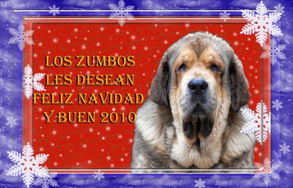 Merry Chrismas and Happy New Year 2010 from Los Zumbos
Keywords: zumbos