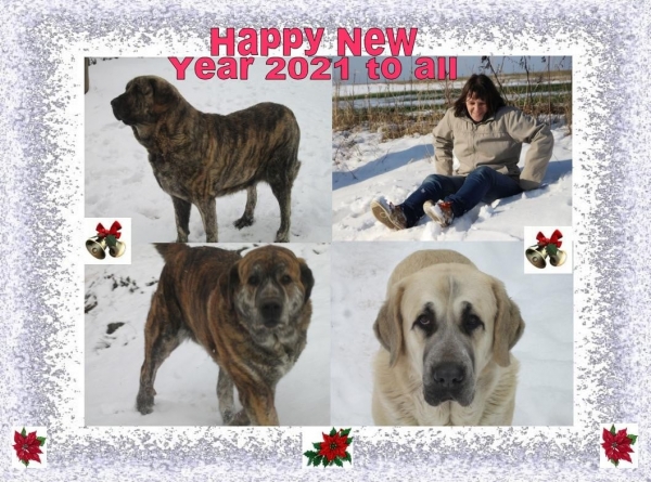 Happy New Year 2021 from Marie Kucerova
