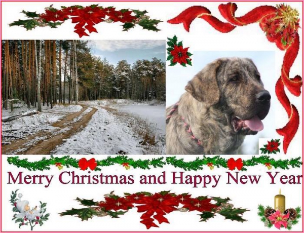 Merry Christmas & Happy New Year from Marie Kocerova, Czech Republic
Keywords: xmas