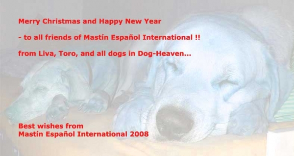Merry Christmas and Happy New Year 2009 from Mastin Español International
Keywords: toro