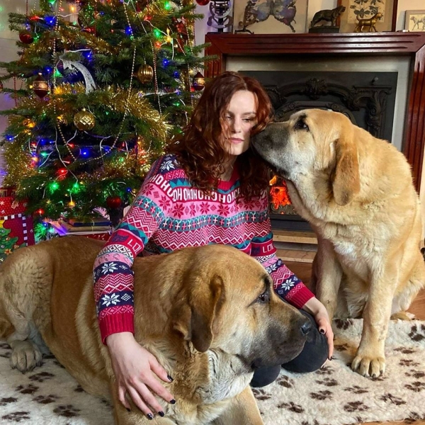 Merry Christmas 2019 from Lu Dareva (daughter Daria with Sangria and Ulka)
