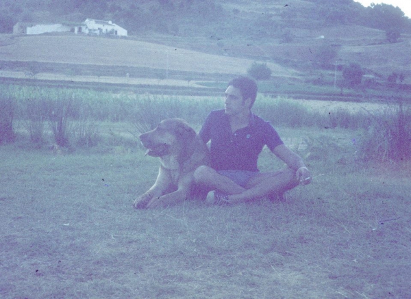 Mastin Terrible, finales de los 60, con Gonzalo, primo hermano de Sergio de Salas
Keywords: 1965