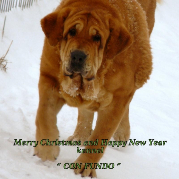 Merry Chrismas and Happy New Year 2010 from Con Fundo
Keywords: confundo