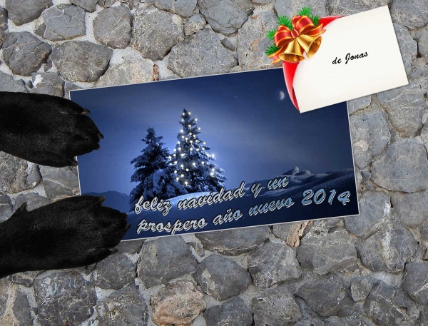 Merry Christmas & Happy New Year 2014 from Jonas, Denmark  
Keywords: xmas