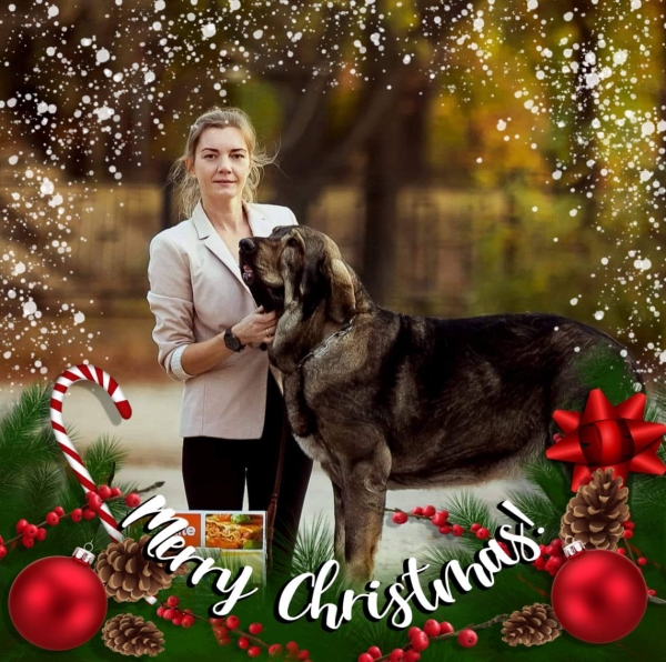 Merry Christmas 2020 from Yuliya Sevastyanova
