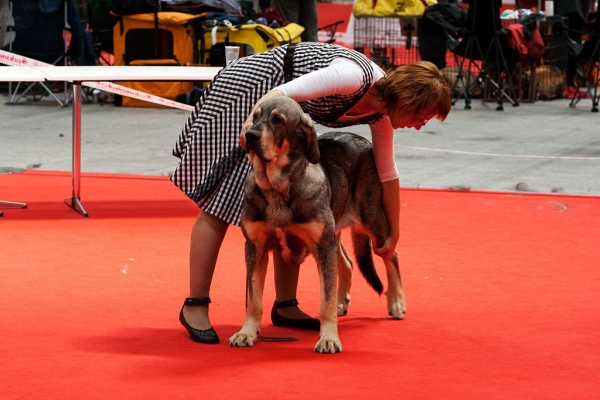 World Dog Show, Herning, Denmark - 27.06.2010
