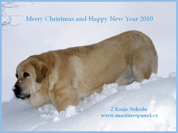 Merry Chrismas and Happy New Year 2010 from Z Kraje Sokolu, Czech Republic
Keywords: sokol snow nieve