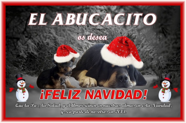 Merry Christmas & Happy New Year from Abucalito, Spain
Keywords: xmas