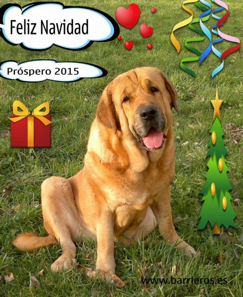 Merry Christmas & Happy New Year from Barrieros, Spain
Keywords: xmas barrieros