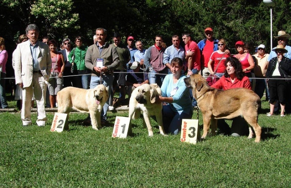 Ring Puppy Class Females - Clase Cachorros Hembras - Barrios de Luna 09.09.2007
2. Los Zumbos
1. Tornado Erben
3. ?
Keywords: 2007