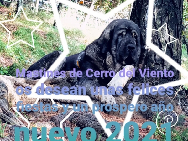 Happy New Year 2021 from Cerro del Viento
