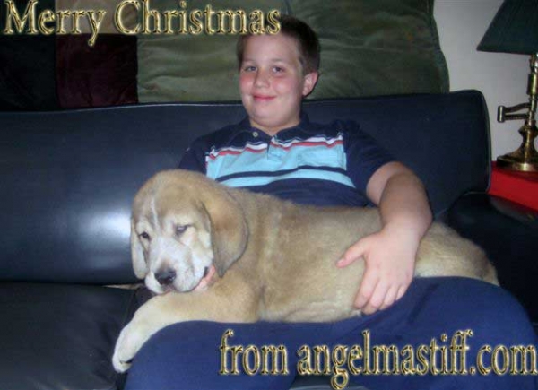 Merry Christmas 2007 from Angel De La Asturias
Keywords: himmelberg
