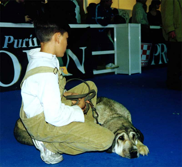 XXV International Dog Show Madrid
Keywords: 1997 kids