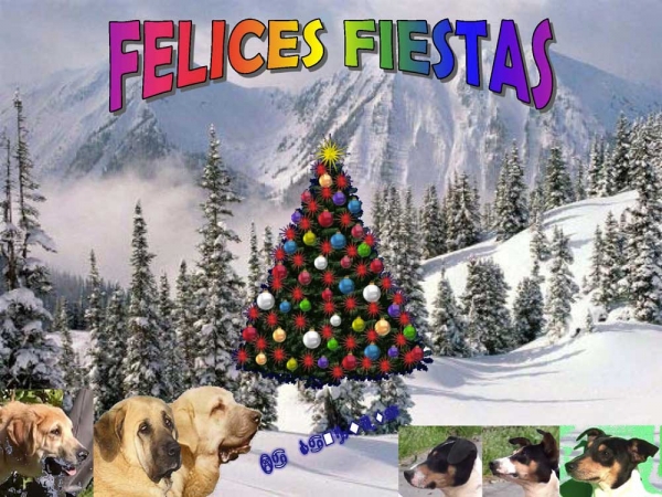 Felices Fiestas from Goyo, 'La Cangueta', Spain
Keywords: cangueta