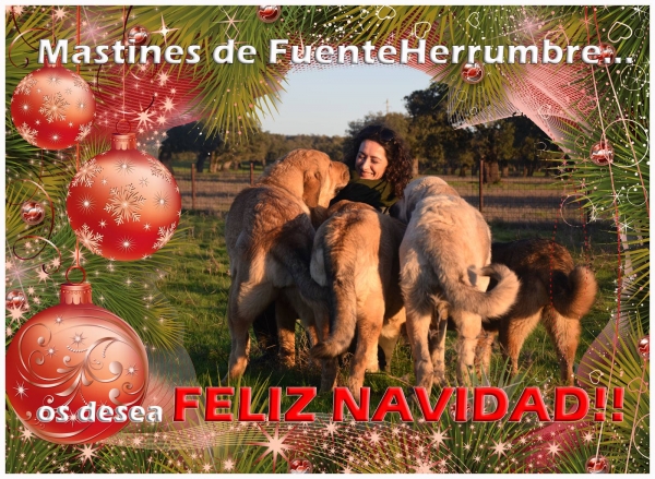 Merry Christmas 2020 from Fuente Herrumbre
