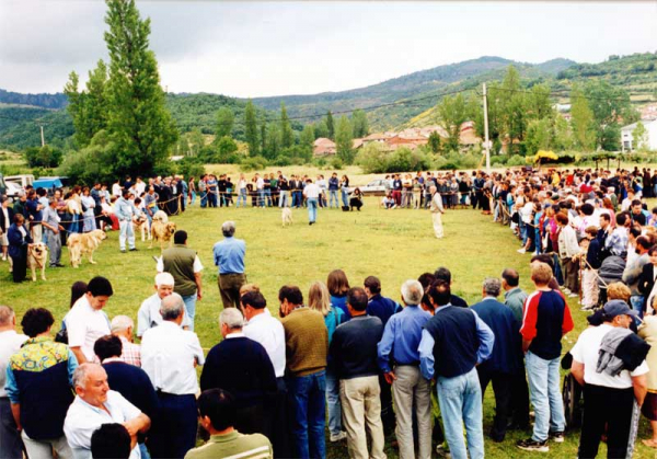 General view - Prioro, León 27.06.1999


Keywords: 1999