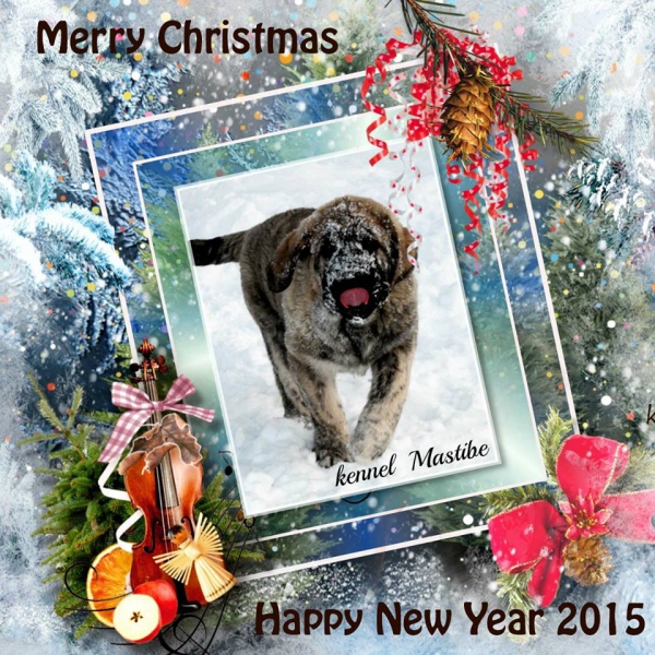 Merry Christmas & Happy New Year 2015 from Mastibe, Chech Republic
Keywords: xmas