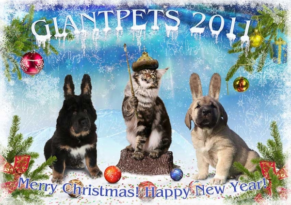 Merry Christmas and Happy New Year 2011 from Giantpets, Russia
Keywords: giantpets