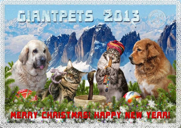 Merry Christmas and Happy New Year 2013 from 'GiantPets', Russia
Keywords: giantpets
