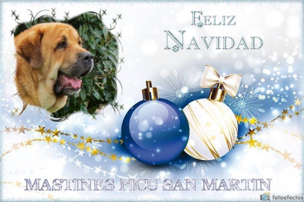 Merry Christmas & Happy New Year 2015 from Picu San Martin, Spain
Mots-clés: xmas