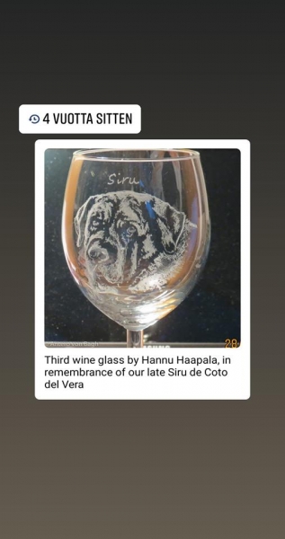 Siru del Coto de Vera - Wine glass by Hannu Haapala
Keywords: siru