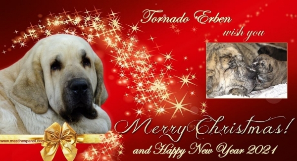 Merry Christmas 2020 and Happy New year 2021 from Tornado Erben
