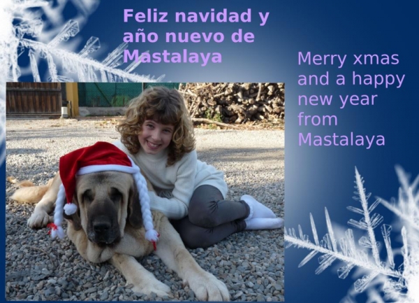 Merry Christmas and Happy New Year 2012 from Mastalaya, Málaga, Spain
Keywords: mastalaya