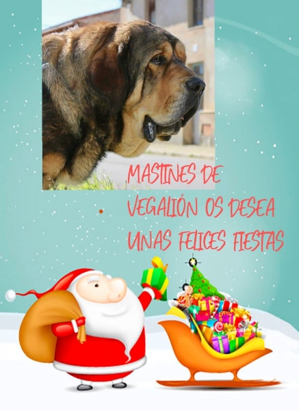 Merry Christmas 2020 from Vegalion
Keywords: vegalion