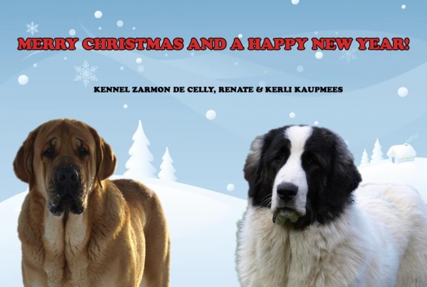 Merry Christmas and Happy New Year from Zarmon de Celly, Estonia
Keywords: zarmon