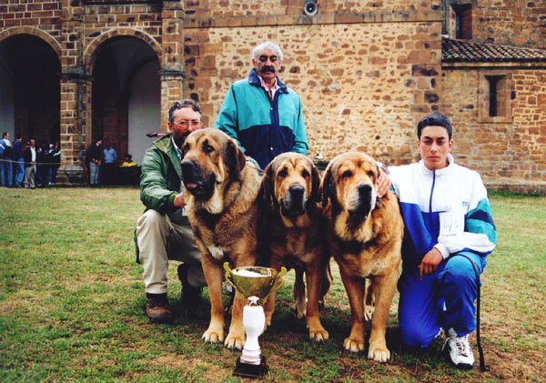 Zarpas, Golba & Sultan - Best Breeding Group/Mejor Grupo Cria - Virgin de la Velilla 08.08.1999
Breeder & owner: Cándido Rodríguez, Leon

Keywords: 1999 vicheriza