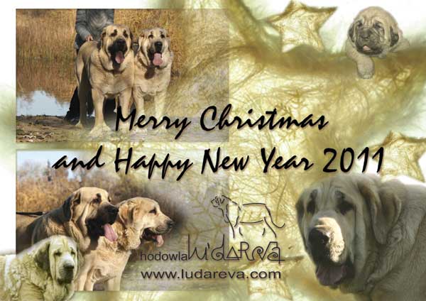 Merry Christmas and Happy New Year 2011 from Lu Dareva, Poland
Keywords: ludareva