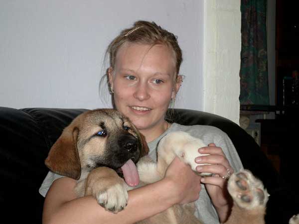 Becky (Tornado Erben)
(Ch. Baskervil Mastibe x Jolana FI-IT) 
Born: 23-12-2004 
Keywords: puppy cachorro