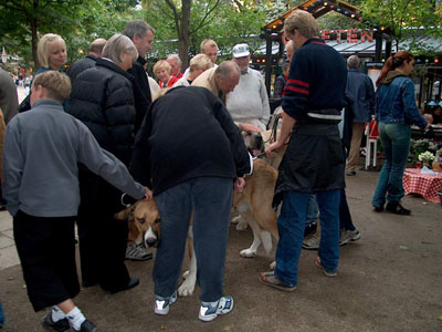 The Dogs' Day - Tivoli - Copenhagen
This is the way it looks, when you bring a Mastín Español to Tivoli :)  

