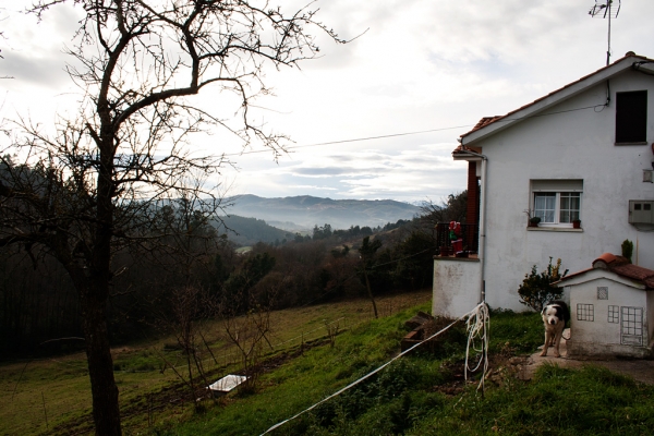 Abarrio, Asturias, Spain december 2010
Keywords: abarrio