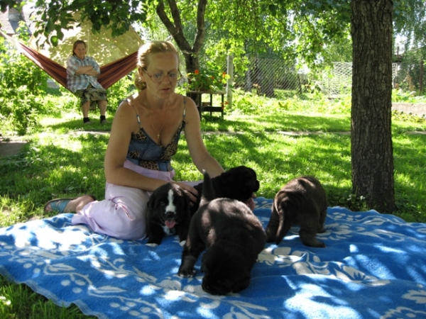 Puppies are 3 weeks old
Bas Magia Alabama (ELFA) & Naikons Lirs Favorits (NAIK)
15.07.2007.

