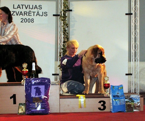 Charisma Zaark Mastibe - PUPPY BIS 3 - International Show "LATVIAN WINNER 2008" Riga 
Keywords: 2008 zarmon mastibe