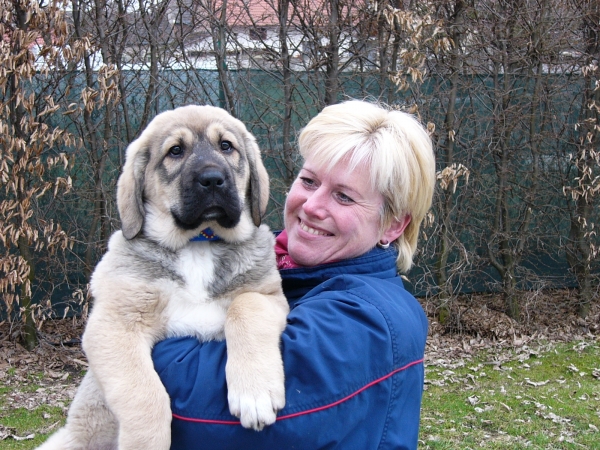 Arand duero Temudzin
Arand with owner
Keywords: puppyslovac puppy cachorro temudzin