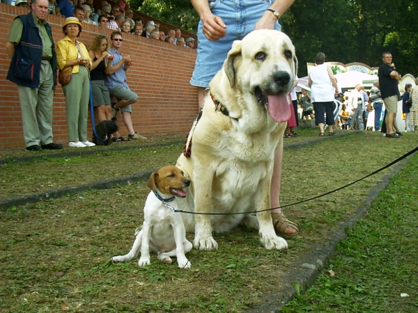 Betty and a little Dog
Betty de Valdejera
