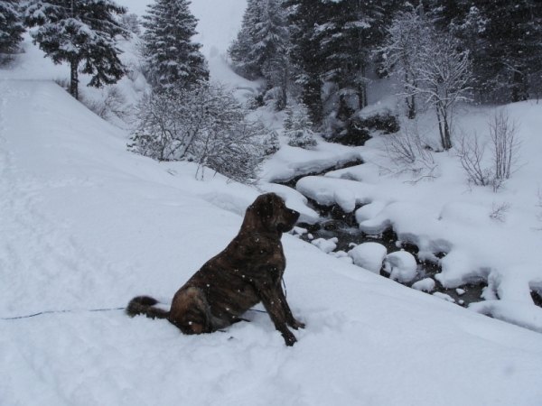 Thor 2006
Toran du Chemin des Puits Tournants
Keywords: snow nieve coco