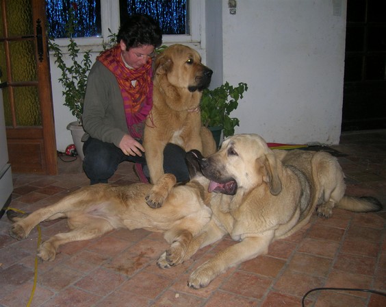 erodes, Manchas and Camelia with me / conmigo
http://bandeagro.chiens-de-france.com/
Keywords: kromagnon camelia erodes manchas