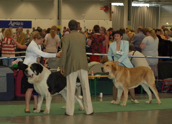 03.07.2008 - World Dog Show, Stockholm, Sweden
