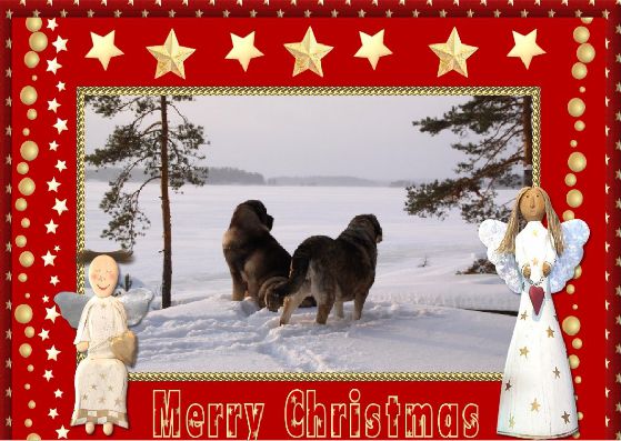Christmas is comming - Merry Christmas and a Happy New Year 2013 from Finland
Keywords: xmas antero Erbi QuÃ¡ntum