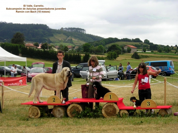 Concurso Canino El Valle, Carreño. Asturias. 2009
Final del campeonato de Asturias de Presentadores Juveniles. Ramón Verano 2º clasificado
Keywords: cangueta